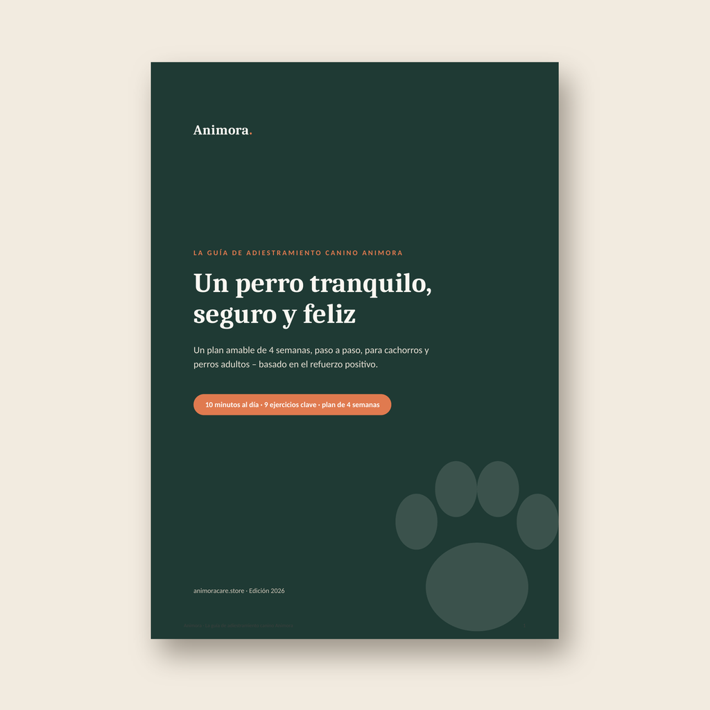 Guide cover – Spanish