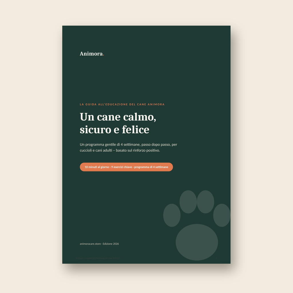 Guide cover – Italian